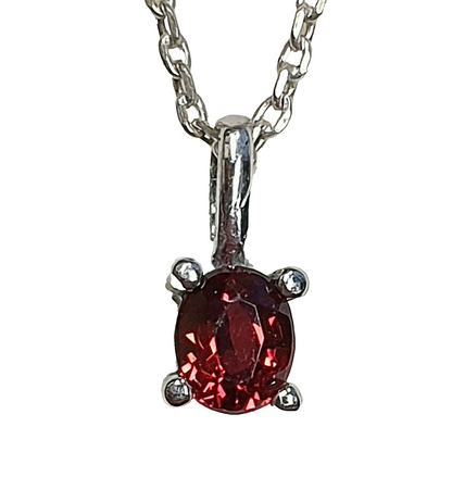 53609.0 - 20 S/S Garnet Pendants + S/S Chain in "Something Special for You" card