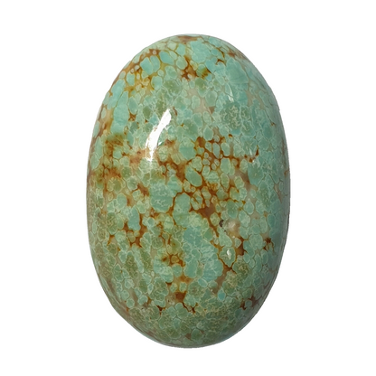 53579 - Rare NATURAL Oval Turquoise Australian "Snowflake" 19.8 cts 27 x 18 mm