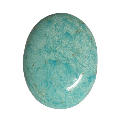 53581 - Large 30.4 x 23.7 mm Oval cabochon NATURAL Australian Turquoise 27.7 cts