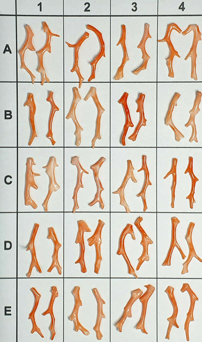 03132 - 5 Pairs Natural Taiwan Coral Branches 30 - 40 mm high Drilled at the Top