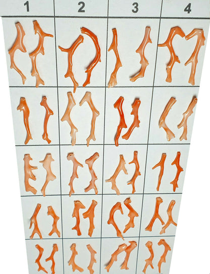 03132 - 5 Pairs Natural Taiwan Coral Branches 30 - 40 mm high Drilled at the Top