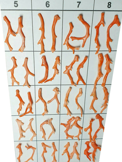 03132 - 5 Pairs Natural Taiwan Coral Branches 30 - 40 mm high Drilled at the Top