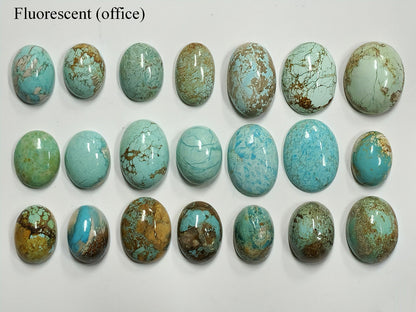54164.0 - 21 Piece Collection of rare Natural Australian Turquoise 349.47 carats