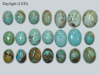 54164.0 - 21 Piece Collection of rare Natural Australian Turquoise 349.47 carats