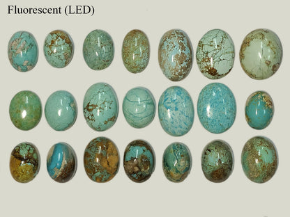 54164.0 - 21 Piece Collection of rare Natural Australian Turquoise 349.47 carats