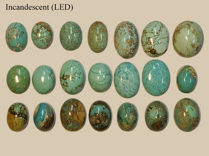 54164.0 - 21 Piece Collection of rare Natural Australian Turquoise 349.47 carats
