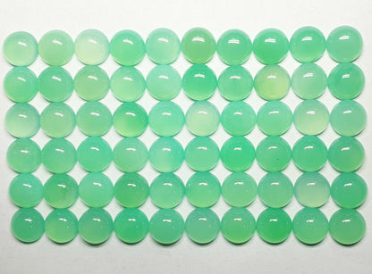 52250 -  15 Australian 8 mm Round Cut Chrysoprase in Exceptional Shade of Green