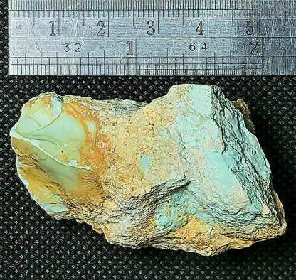 54114.0 - Rare Natural Rough Turquoise from Central Australia 257 carat 51 grams