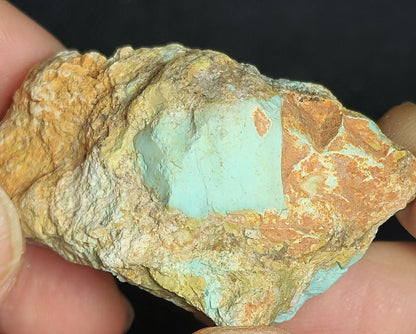 54114.0 - Rare Natural Rough Turquoise from Central Australia 257 carat 51 grams