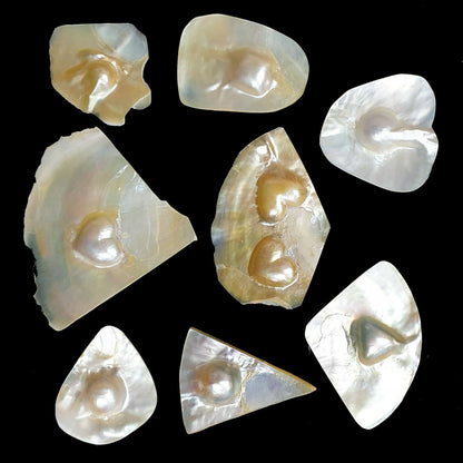 52253 - 9 Pcs Australian Mabe Pearls on Shell Ready to be Cut to Required Shape