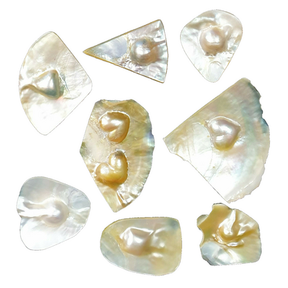 52253 - 9 Pcs Australian Mabe Pearls on Shell Ready to be Cut to Required Shape