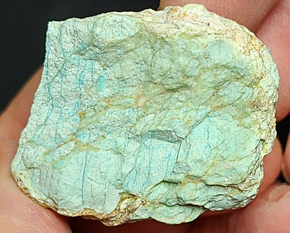 54117.0 - Very Rare Natural Turquoise From Central Australia 249 carats 50 Grams