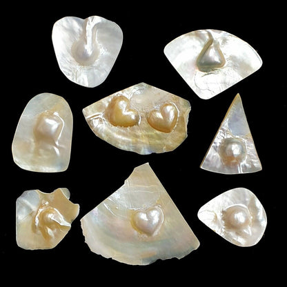 52253 - 9 Pcs Australian Mabe Pearls on Shell Ready to be Cut to Required Shape