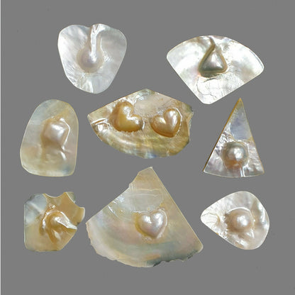52253 - 9 Pcs Australian Mabe Pearls on Shell Ready to be Cut to Required Shape