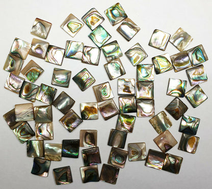 11847.1 - Lot 64 Pieces 10 x 10 mm Square Paua Shells with Beautiful Iridescence