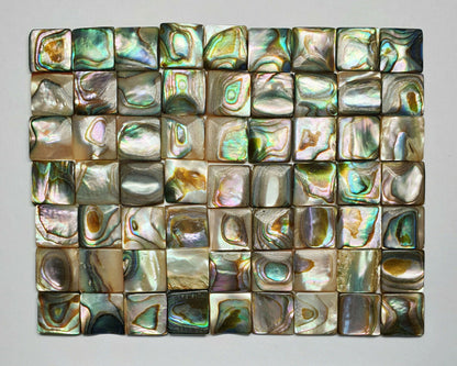 11847.1 - Lot 64 Pieces 10 x 10 mm Square Paua Shells with Beautiful Iridescence