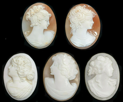 52268 - One Lot of 5 Shell Cameos 30x23 mm