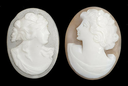 52268 - One Lot of 5 Shell Cameos 30x23 mm