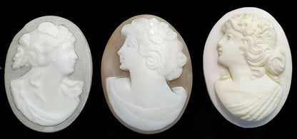 52268 - One Lot of 5 Shell Cameos 30x23 mm