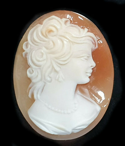 52268 - One Lot of 5 Shell Cameos 30x23 mm