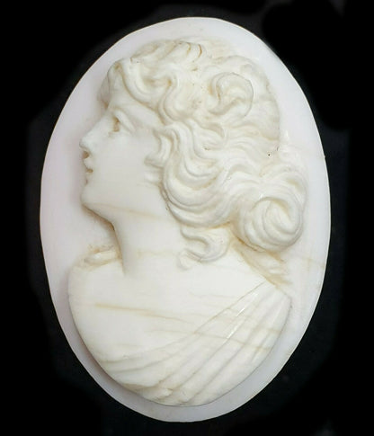 52268 - One Lot of 5 Shell Cameos 30x23 mm