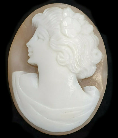 52268 - One Lot of 5 Shell Cameos 30x23 mm