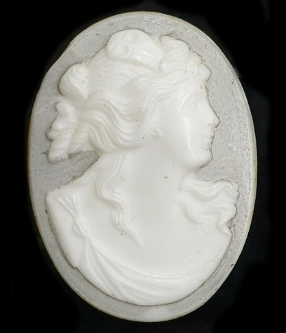 52268 - One Lot of 5 Shell Cameos 30x23 mm