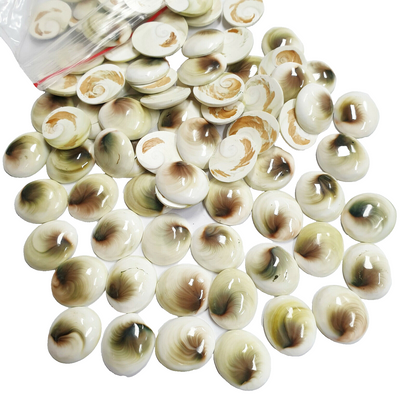 52261 - Lot of 25 Pieces 16x14 mm High Polished Oval Cut Chinese Seashell Cats