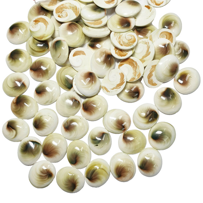 52261 - Lot of 25 Pieces 16x14 mm High Polished Oval Cut Chinese Seashell Cats