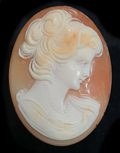 52269 - 2 Shell Cameos 35x27 mm