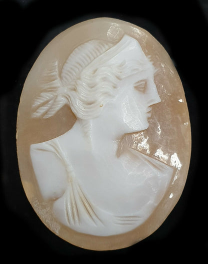 52269 - 2 Shell Cameos 35x27 mm