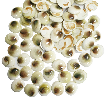 52261 - Lot of 25 Pieces 16x14 mm High Polished Oval Cut Chinese Seashell Cats