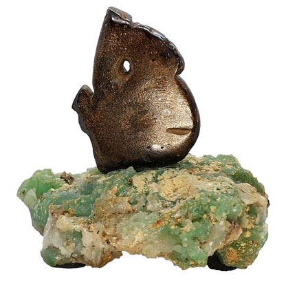 03896.0 - Australian Boulder Opal Carving of Koala mounted on Rough Chrysoprase