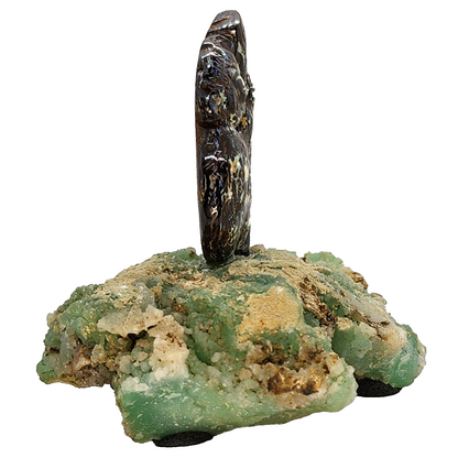 03896.0 - Australian Boulder Opal Carving of Koala mounted on Rough Chrysoprase