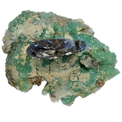 03896.0 - Australian Boulder Opal Carving of Koala mounted on Rough Chrysoprase
