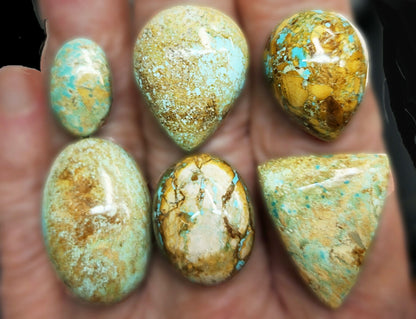 54052.0 - 20 Piece Lot Rare Natural Australian Turquoise For sale 436.77 carats