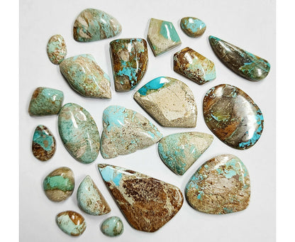53938.0 - 21 Piece Lot Rare Natural Australian Turquoise For sale 204.50 carats