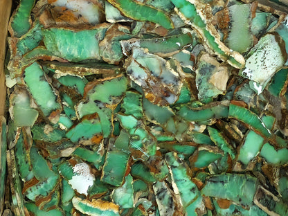 54151.2 - 800 Grams Australian rough Chrysoprase Slices Average 4-5 mm thick
