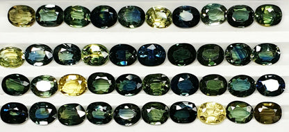 52219 -  40 Oval Cut Aussie Teal, Green, Yellow, Parti Color Sapphires 19.47 cts