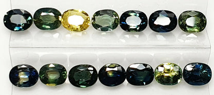 52219 -  40 Oval Cut Aussie Teal, Green, Yellow, Parti Color Sapphires 19.47 cts