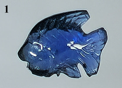54145.0 - Natural Australian Blue Sapphire charms Four fish carvings From 6.5 to 9.9 mm long From 0.65 up to 1.64 carats
