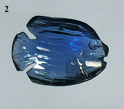 54145.0 - Natural Australian Blue Sapphire charms Four fish carvings From 6.5 to 9.9 mm long From 0.65 up to 1.64 carats