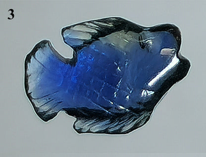 54145.0 - Natural Australian Blue Sapphire charms Four fish carvings From 6.5 to 9.9 mm long From 0.65 up to 1.64 carats