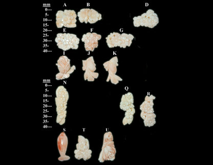54006.0 - Natural Light Pink Coral Carvings from Taiwan with a hole drilled at the top Size 10 to 35 mm in length About 15 carats or 3 Grams