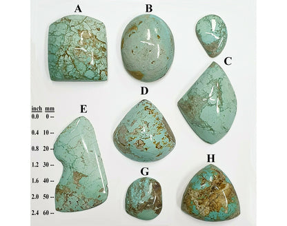 54011.0 - Natural Free-shaped large cut and polished Australian Turquoise for sale Mined in central australia during the 1970's Very rare