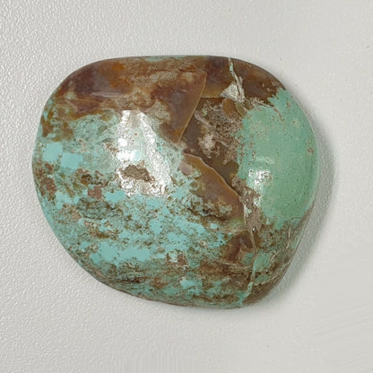 54011.0 - Natural Free-shaped large cut and polished Australian Turquoise for sale Mined in central australia during the 1970's Very rare