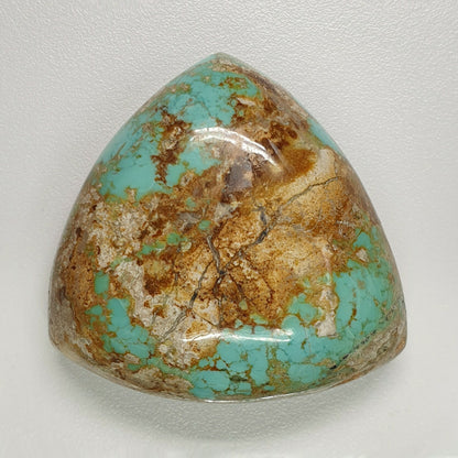 54011.0 - Natural Free-shaped large cut and polished Australian Turquoise for sale Mined in central australia during the 1970's Very rare