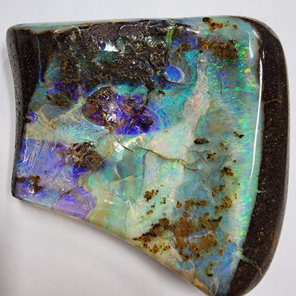 53956.0 - Large Boulder Opal with High a Thick Layer of Good Quality Opal for Office Desk Paper Weight or Belt Buckle 127gr 70x45-65x10-20mm