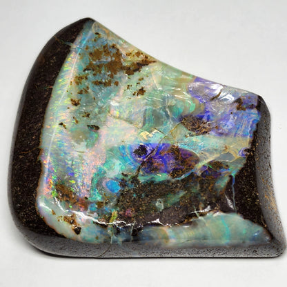 53956.0 - Large Boulder Opal with High a Thick Layer of Good Quality Opal for Office Desk Paper Weight or Belt Buckle 127gr 70x45-65x10-20mm