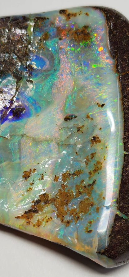 53956.0 - Large Boulder Opal with High a Thick Layer of Good Quality Opal for Office Desk Paper Weight or Belt Buckle 127gr 70x45-65x10-20mm